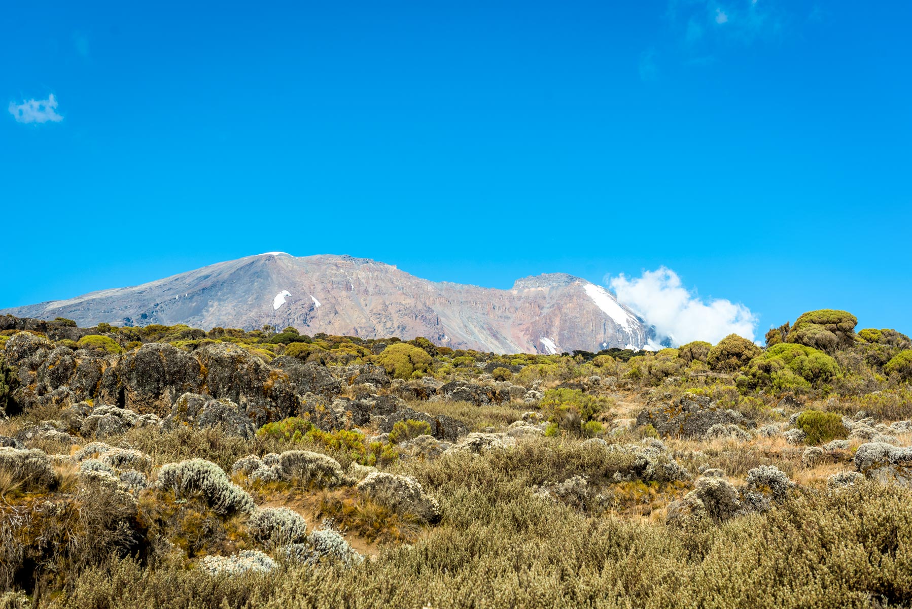 Kilimanjaro